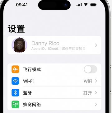 东港appleID维修服务iPhone设置中Apple ID显示为灰色无法使用 