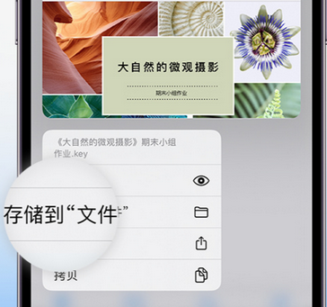 东港apple维修中心分享iPhone文件应用中存储和找到下载文件