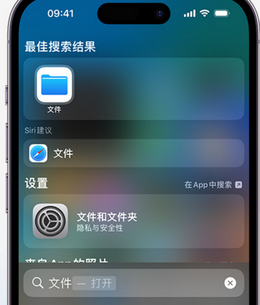 东港apple维修中心分享iPhone文件应用中存储和找到下载文件 