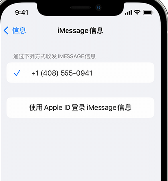 东港apple维修iPhone上无法正常发送iMessage信息 