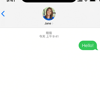 东港apple维修iPhone上无法正常发送iMessage信息