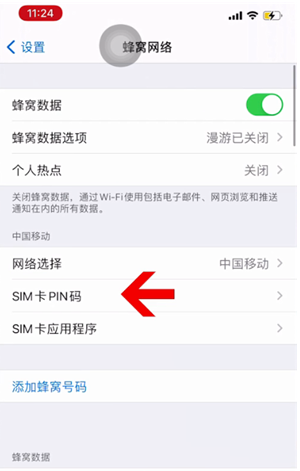 东港苹果14维修网分享如何给iPhone14的SIM卡设置密码 