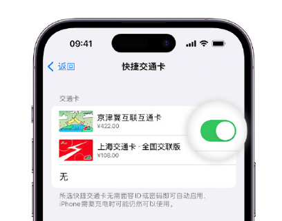 东港apple维修点分享iPhone上更换Apple Pay快捷交通卡手绘卡面 