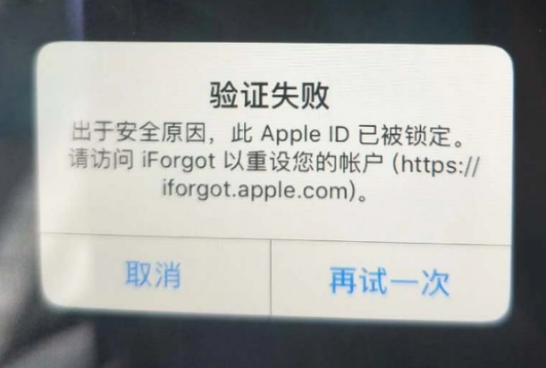 东港iPhone维修分享iPhone上正常登录或使用AppleID怎么办 