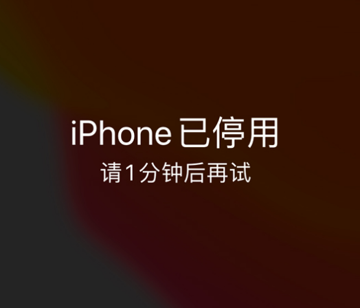 东港苹果手机维修分享:iPhone 显示“不可用”或“已停用”怎么办？还能保留数据吗？ 