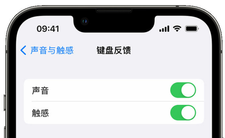 东港苹果手机维修分享iPhone 14触感键盘使用方法 