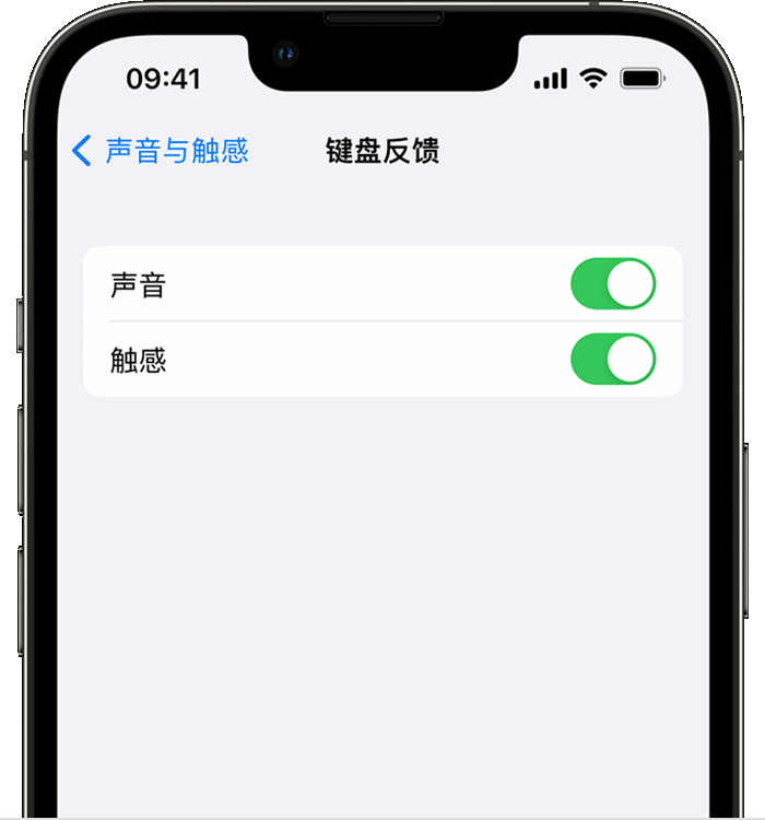 东港苹果14维修店分享如何在 iPhone 14 机型中使用触感键盘 