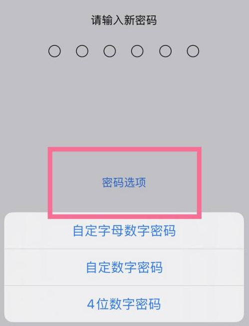 东港苹果14维修分享iPhone 14plus设置密码的方法 