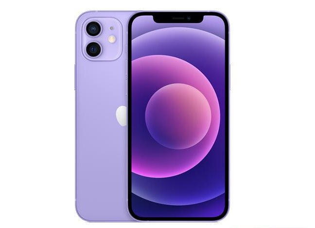 东港苹果手机维修分享现阶段要不要入手紫色版iPhone12 